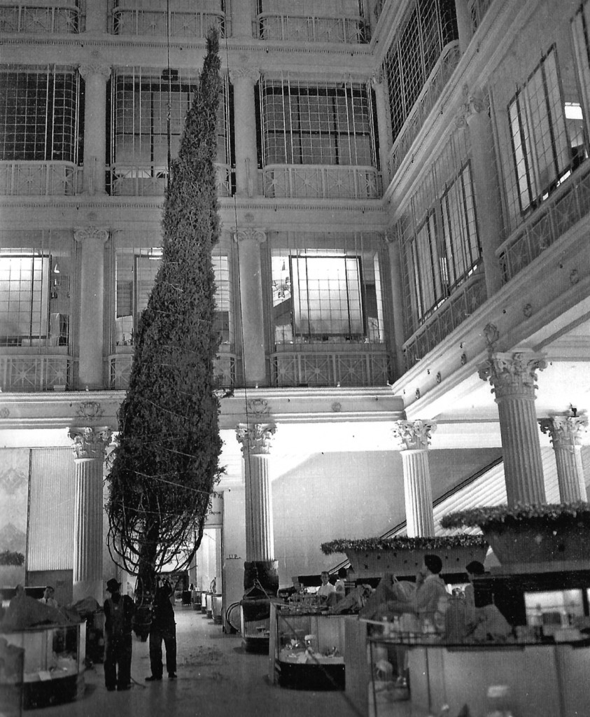 Bringing the tree in, 1961